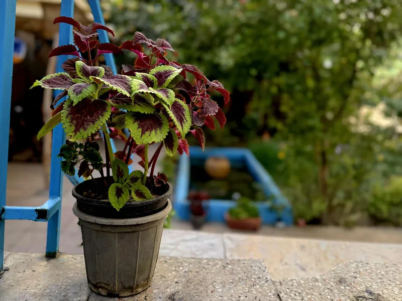 didar-cafe-book-gallery-12